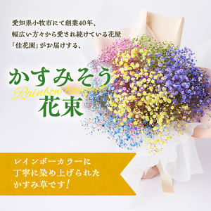 【佳花園】レインボーかすみそう 花束[156K03]