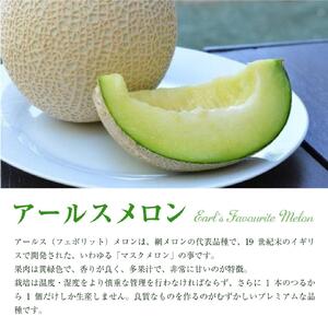 アールスメロン（1玉入り1箱）2kg～2.5kg