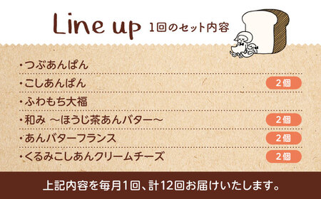 【12回定期便】 あんこ好きの食べ比べ 10個セット 【パンの店 カッタン】 パン あんぱん 大人気店[MEJ012]