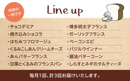 【3回定期便】 ハード系パン お楽しみバラエティーセット 10〜13点 【パンの店 カッタン】 パン 食パン 大人気[MEJ014]