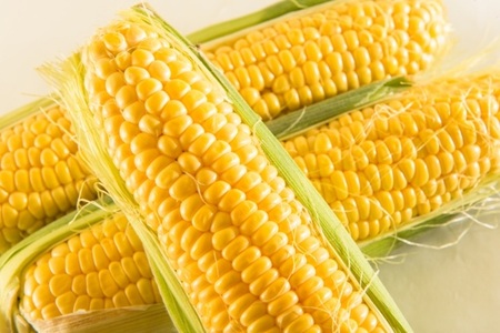 【先行予約】 令和8年産 トウモロコシと夏野菜セット セブンティーントウモロコシ ピーマン 長茄子 キュウリ 枝豆 2026年8月上旬～下旬頃 お届け予定