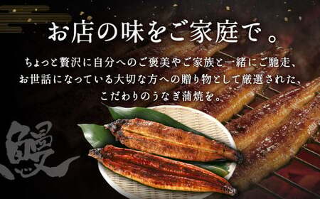 【10営業日発送】九州産 手焼き炭火うなぎ蒲焼 ＆ うなぎ蒲焼 食べ比べ 2尾 セット うなぎ 蒲焼 冷凍 年内配送