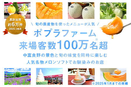 【2026年発送】【ポプラファーム】【桐箱】富良野メロン中玉2玉（計3.2㎏以上秀品）【BC-007】