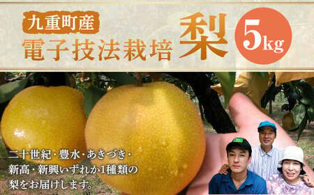 九重町産 電子技法栽培 梨 5kg 果物 大分県産 (二十世紀・豊水・あきづき・新高・新興のうちいずれか一種) 【2026年9月上旬～12月上旬発送予定】