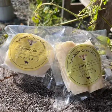 ジャージー牛のチーズ　2種セット【配送不可地域：離島】【1576776】
