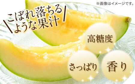 【2027年4月下旬-発送】【根強い人気!】訳あり プリンスメロン 約4kg×2箱（1箱 7?13玉） 傷もの / メロン めろん 果物 フルーツ / 南島原市 / 南島原果物屋[SCV020]