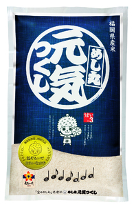 CE-083_【定期便３回】令和７年米　金のめし丸元気つくし 5Kg（1袋）×３回