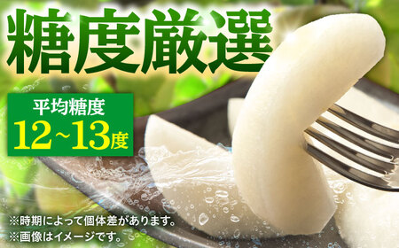 【先行予約・26年8月以降発送】日田梨 幸水 5kg 梨[ARBB001]