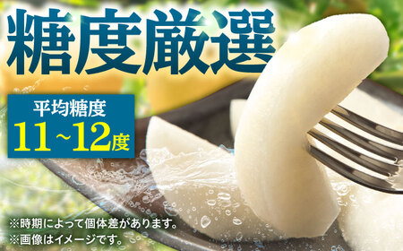 【先行予約・26年8月以降発送】梨 豊水 5kg 日田 梨 [ARBB002]