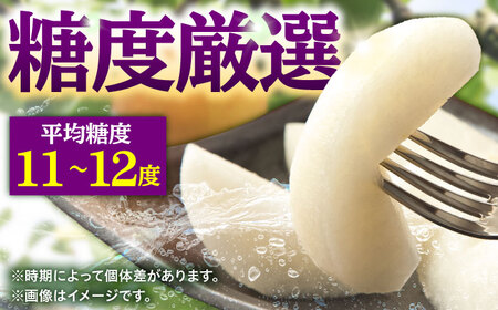 【先行予約・26年10月以降発送】梨 新興 5kg 梨 [ARBB005]