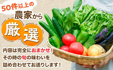 【全12回定期便】農家セレクト！特別栽培 日田の厳選食材 詰め合わせ 日田市 野菜 果物 米 産地直送 新鮮 セット[ARBR002]