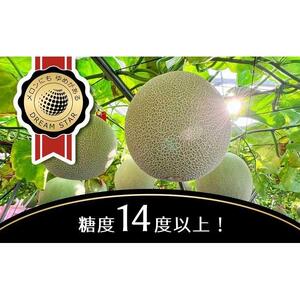 【2026年5月以降発送】さぬきメロン Dream Star 1.1kg以上｜メロン 糖度 14度以上 甘い フルーツ 果物 くだもの 特産 ふるさと 坂出市 香川 さぬき 食品 人気 おすすめ 送料無料