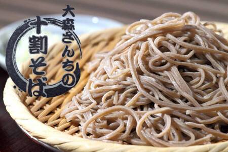 岩美町産 十割そば 10個セット 乾麺 つゆなし｜鳥取 岩美 そば おそば【53022】