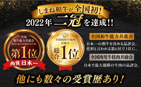 肉 【全6回定期便】【ブランド牛・しまね和牛】肩ロース・モモスライス 各300g すき焼き・しゃぶしゃぶ用 島根県松江市/Do corporation株式会社（しまね和牛）[ALFU026] 肉 肉