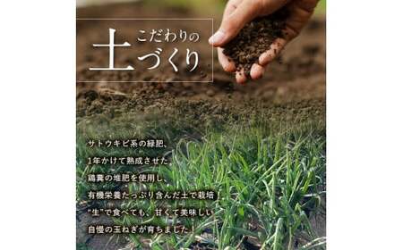＜2026年発送 先行予約＞甘すぎる新鮮玉ねぎ 10kg（2026年6月20日～7月15日頃出荷） 減農薬減 化学肥料 生食 たまねぎ 玉ねぎ タマネギ 野菜 食品 F21E-206