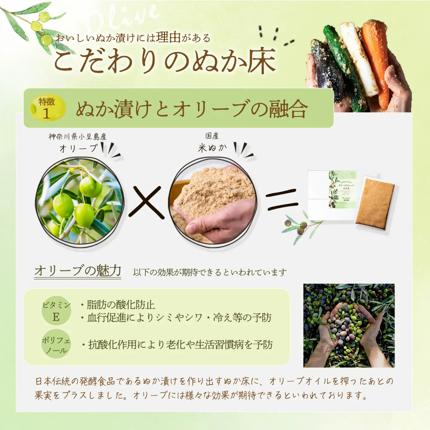 オリーブが入ったぬか床　【11218-0847】