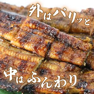 うなぎ 蒲焼 大姿焼き 2尾 140g×2 【全6回定期便】 | 鰻 鰻