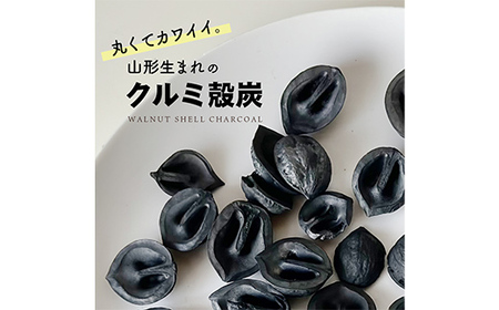 炭のクルミン 100g くるみ 炭 F2Y-4050