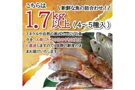 地魚おまかせセット 4～5種類入り 計1.7kg以上 冷蔵便 ※着日指定・離島（沖縄県を含む）への発送不可 東北 山形県 遊佐町 庄内地方 鮮魚 詰合せ 産地直送 新鮮 [511]