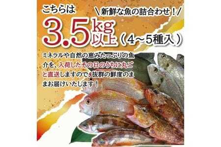 地魚おまかせセット 4～5種類入り 計3.5kg以上 冷蔵便 ※着日指定・離島（沖縄県を含む）への発送不可 東北 山形県 遊佐町 庄内地方 鮮魚 詰合せ 産地直送 新鮮 [518]