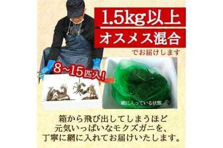 生・天然モクズガニ 1.5kg以上 8～15匹 オス・メス混合 山形県庄内産 9月中旬～12月上旬頃順次発送 冷蔵便 ※着日指定・離島（沖縄県を含む）発送不可 カニ 蟹 かに 川ガニ 新鮮 鮮魚 まるごと 姿 カニみそ 味噌汁 蒸し蟹 期間限定 お取り寄せ おうち時間 [849]