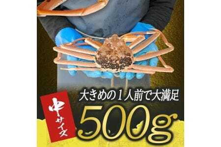 生・本ズワイガニ 1匹 500g程度 遊佐沖 10月中旬～12月下旬頃お届け 冷蔵便 ※着日指定・離島（沖縄県を含む）発送不可 1人前 東北 山形県 庄内地方 日本海 カニ 蟹 かに 海産物 シーフード 海鮮 新鮮 鮮魚 まるごと 生食 刺身 ボイル 焼き 期間限定 [853]
