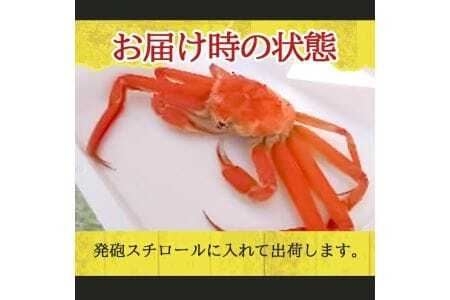ボイル 本ズワイガニ 1匹 500g程度 遊佐沖 10月中旬～12月下旬頃お届け 冷蔵便 ※着日指定・離島（沖縄県を含む）発送不可 東北 山形県 遊佐町 庄内地方 日本海 カニ 蟹 海産物 シーフード 海鮮 新鮮 まるごと ボイル 焼き 期間限定 お取り寄せ ゆで 茹で [974]