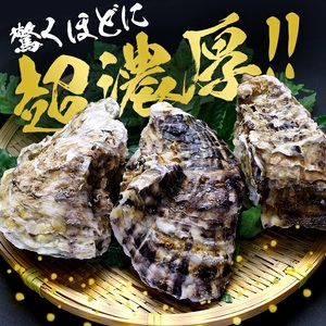 山形県遊佐町女鹿産 天然岩牡蠣 5個入 約1kg 殻付き 6月上旬～8月下旬頃お届け 冷蔵便 ※着日指定・離島（沖縄県を含む）発送不可 カキ かき 岩かき お取り寄せ 日本海 東北 庄内 鮮魚 新鮮 [1186]