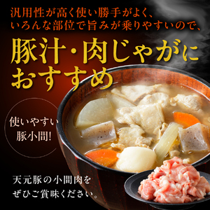 豚肉 天元豚 豚小間 1.2kg ( 200g × 6パック ) ブランド豚 精肉 ポーク 豚 こま切れ 国産 山形県 米沢市