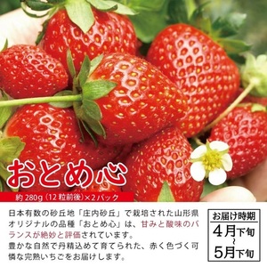 SC0629　【3回定期便】自然の恵み 春・夏・秋フルーツ定期便2026 (2)(いちご、彩りメロン［青肉・赤肉］、柿)