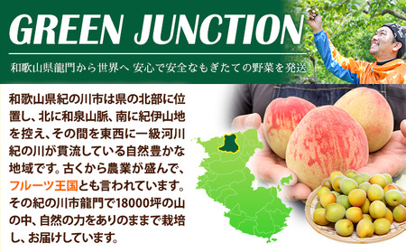 和歌山県産の桃【先行予約】 約900g (3玉入り) GREEN JUNCTION株式会社《2026年6月中旬-2026年8月末頃出荷》和歌山県 紀の川市 桃 果物 果実 フルーツ 自然栽培 送料無料