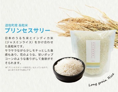 長粒米プリンセスサリー 3合（450g）リュテニッツァ 130g×1個 パプリカソルト 5g×2種 レシピ付き 遊佐のみのり 東北 山形県産 遊佐町 瓶詰 化学調味料・着色料・保存料不使用 国産野菜 野菜ペースト ペースト パプリカ 加工食品 パエリア 米 塩 [1375]