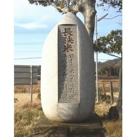 令和7年産千葉県産長狭米コシヒカリ精米10kg【1576561】
