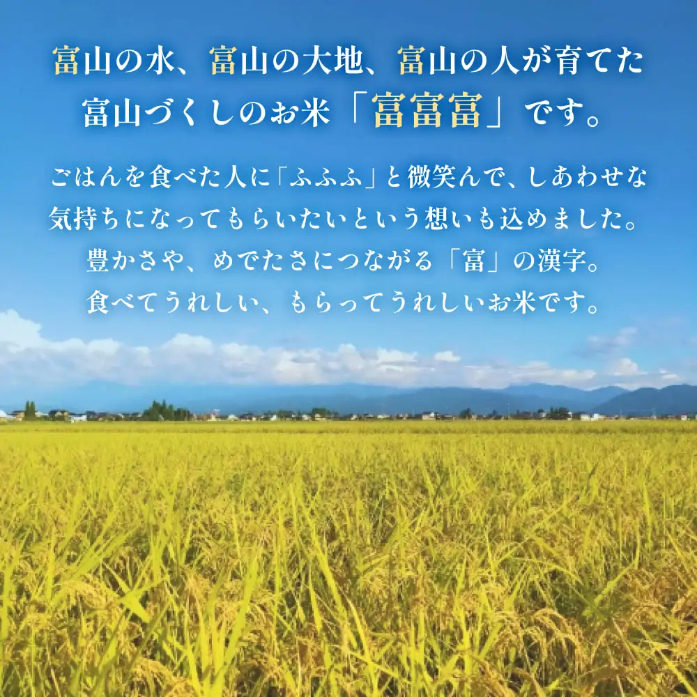 令和7年 富山県産富富富4kg（2kg×2袋）  富山県 氷見市 富富富 ブランド米