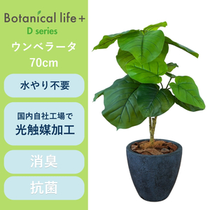 フェイクグリーン Botanical life+ Dシリーズ ウンベラータ 70cm 光触媒加工 鉢付き インテリア 抗菌 消臭 愛知県 豊橋市 送料無料 41000円