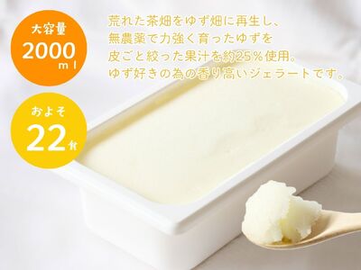 17-9 ゆずジェラート（1バルク 2000ml）