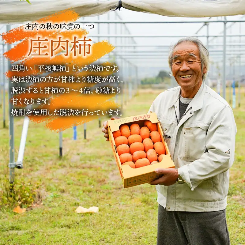 【令和8年産先行予約】庄内柿＆ラ・フランス セット　約2kg　山形県鶴岡市産　佐藤農園