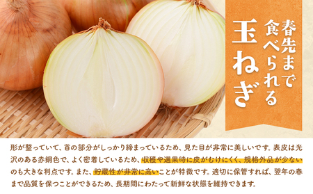 北海道産 玉ねぎ 約5kg サイズ混合《10月中旬-1月中旬順次出荷》若木ファーム 送料無料  十勝 本別町産