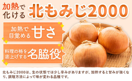 【先行予約】玉ねぎ たまねぎ 玉葱 選べる 約5kg サイズ混合《2026年10月上旬から11月中旬頃出荷》嶋崎農園 送料無料 北海道 本別町 北海道 十勝 本別町産 オニオン カレー サラダ スープ 野菜
