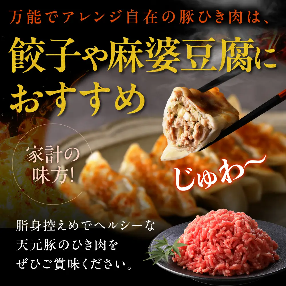 豚肉 天元豚 ひき肉 500g ブランド豚 挽き肉 挽肉