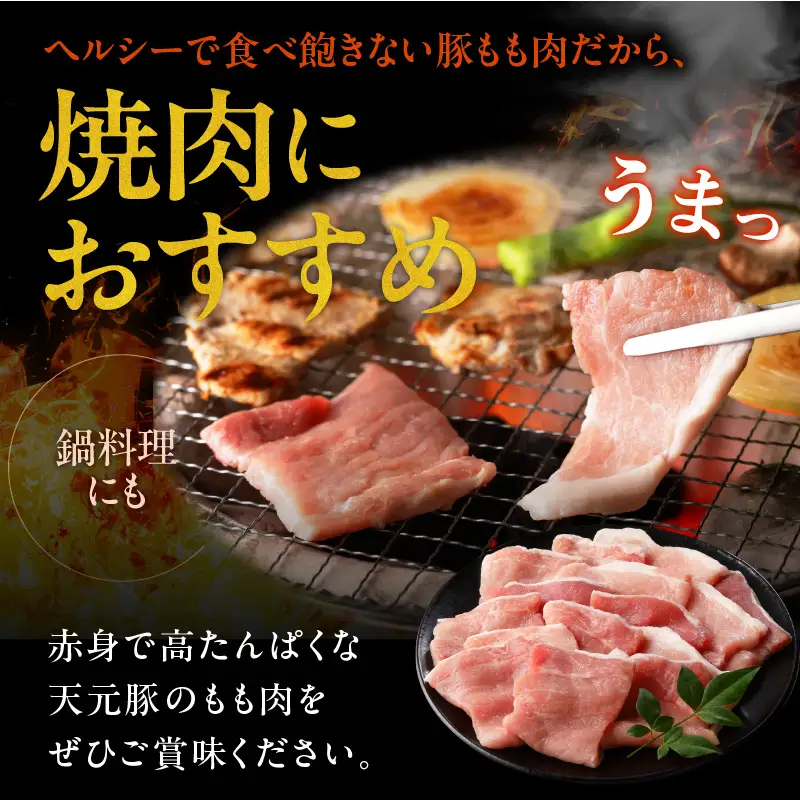 豚肉 天元豚 もも 焼肉用 600g