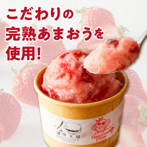 羽衣農園 完熟あまおうアイス・ジェラート6個セット_完熟あまおう アイス ジェラート 6個 セット 3種 カップ入り パウチタイプ あまおう ミルクアイス ヨーグルトアイス こだわり いちご 食べ比べ デザート スイーツ 洋菓子 冷菓 氷菓 冷凍 お取り寄せ グルメ 福岡県 久留米市 送料無料 〔Dw084〕
