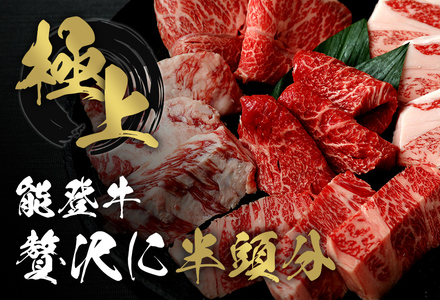 【和牛セレブ】【復興支援】能登牛 半頭買い（24分割配送） 牛肉 最高級 黒毛和牛 和牛 肉汁