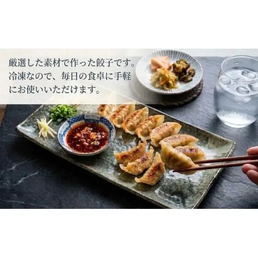 ぎょうざ 有機野菜と放牧豚のぎょうざ 3袋セット【1518870】