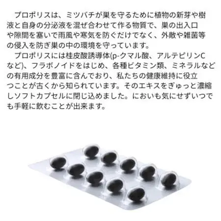 バイオフラボンメディック 60粒【1545712】