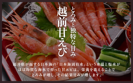 大好評!よねはるお薦めの越前甘えび (卵なし) 中サイズ 計約1kg (約500g × 2箱)でお届けします!【 えび エビ 海老 甘エビ 甘えび 海鮮 お刺身 魚介 おせち 無添加 冷凍 福井県産】 [m17-b011]