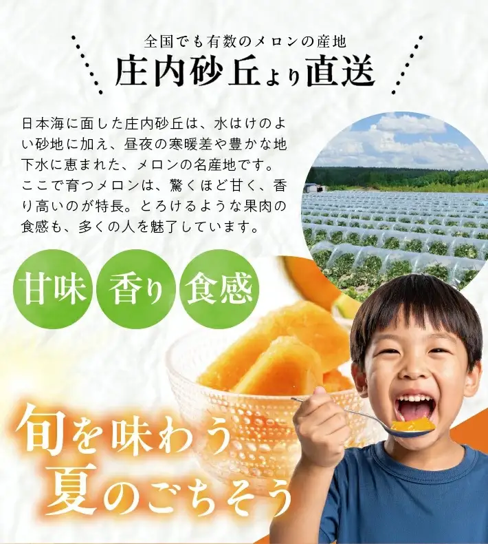 赤肉メロン 約5kg 4～5玉入 山形県遊佐町産 6月下旬～7月下旬頃お届け ※着日指定不可 果物 フルーツ メロン 赤肉 夏 東北 山形県 遊佐町 庄内 庄内砂丘 JA [1439]