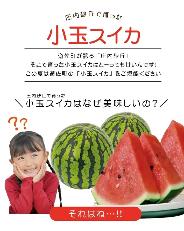 小玉スイカ 約8kg 4～5玉入 山形県遊佐町産 7月上旬～7月下旬頃お届け ※着日指定不可 果物 フルーツ スイカ すいか 西瓜 小玉すいか 小玉 夏 東北 山形県 遊佐町 庄内 庄内砂丘 JA [1225]