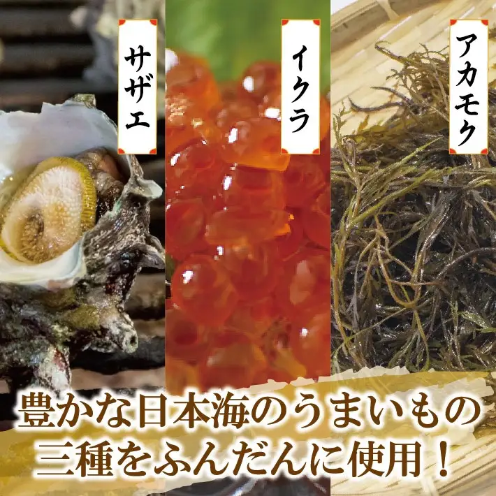 日本海 磯盛漬 180g×2パック 冷凍便 ※離島発送不可 東北 山形県 遊佐町 庄内地方 贅沢 おつまみ 肴 海産物 ご飯のお供 ごはんのおとも 晩酌 イクラ サザエ あかもく 海藻 [888]