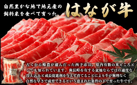 ＜熟成肉 はなが牛リブロース スライス 合計800g（200g×4袋）＞ 牛肉 すき焼き すきやき しゃぶしゃぶ 国産 国産牛 スライス肉 霜降り しもふり 小分け 使いやすい 便利 グルメ 特産品 ゆうぼく 愛媛県 西予市【冷凍】『2か月以内に順次出荷予定』UYB0013